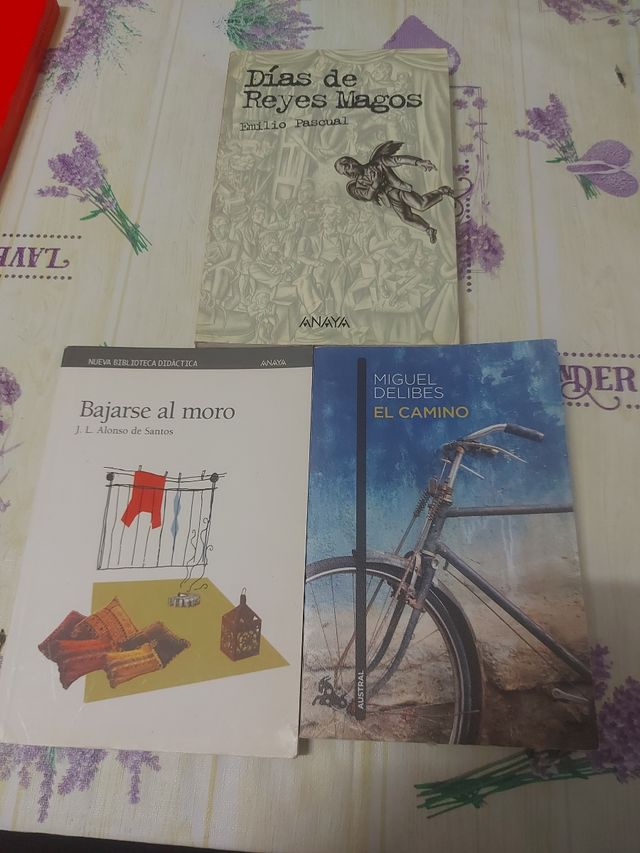 Libros de ESO (castellano)