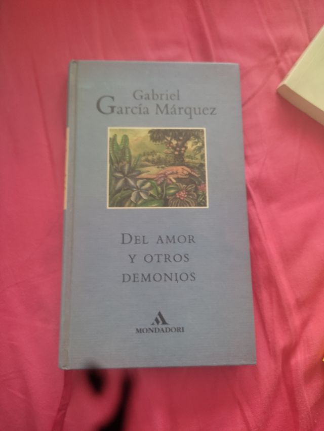 Del Amor y Otros Demonios