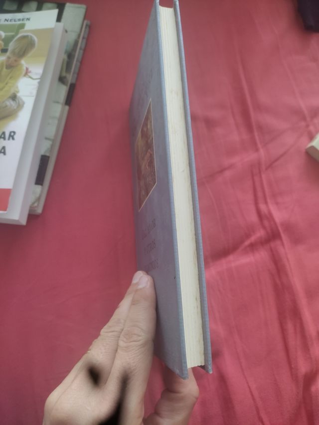 Del Amor y Otros Demonios