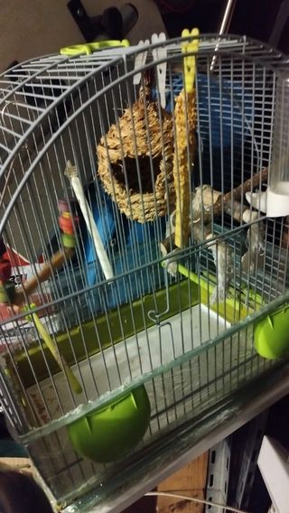 Jaula para pájaros.