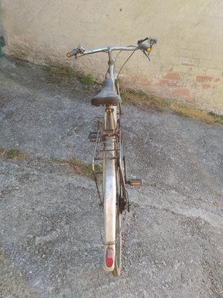 Bicicleta de paseo