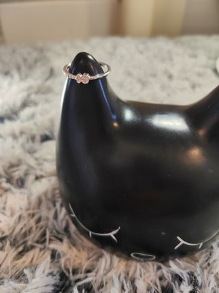 Anillo