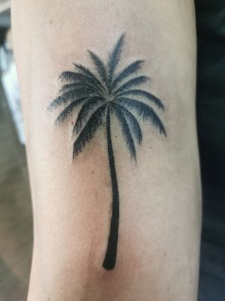 tattoo económico