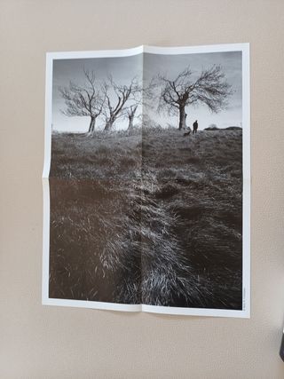 Salem's Lot (Spanish Edition)