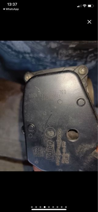 Cuerpo de mariposa VAG