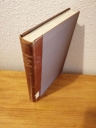 LIBRO ANTIGUO "HISTORIA DE LA PINTURA"