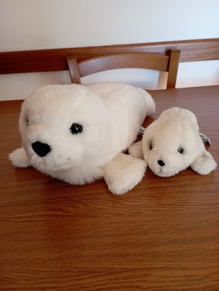 Coppia di peluche foche
