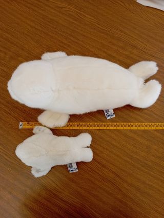 Coppia di peluche foche