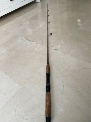 Caña de pesca spinning