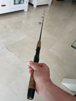 Caña de pesca spinning
