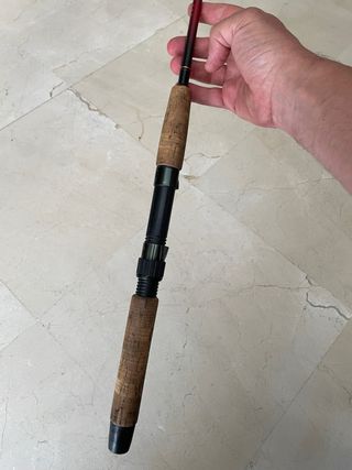 Caña de pesca spinning