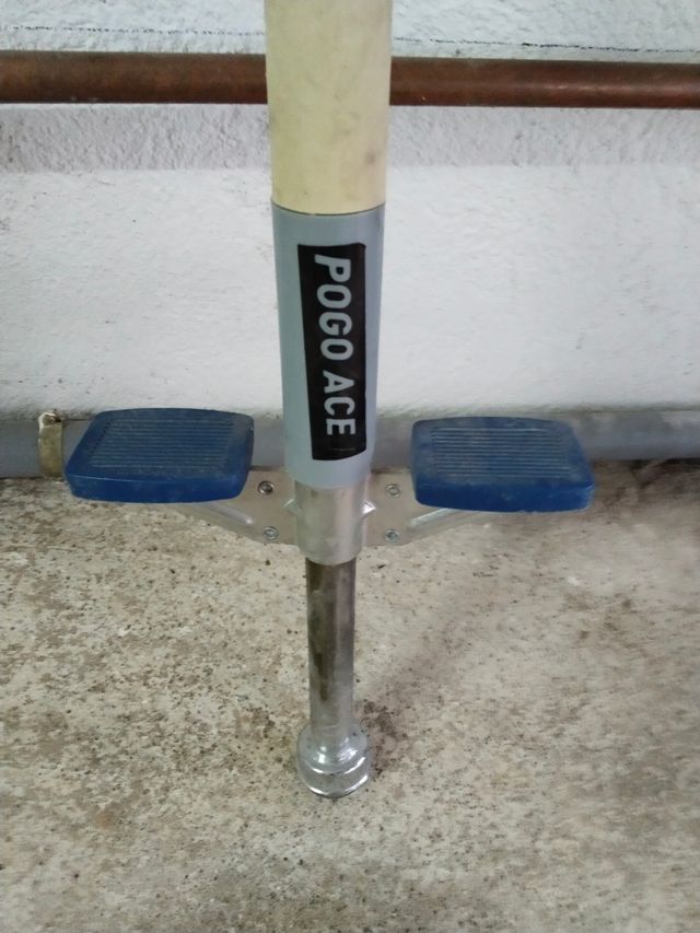 Palo pogo