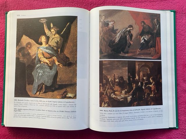 Libro storia dell’arte Pietro Adorno