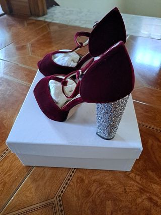 Zapatos de fiesta
