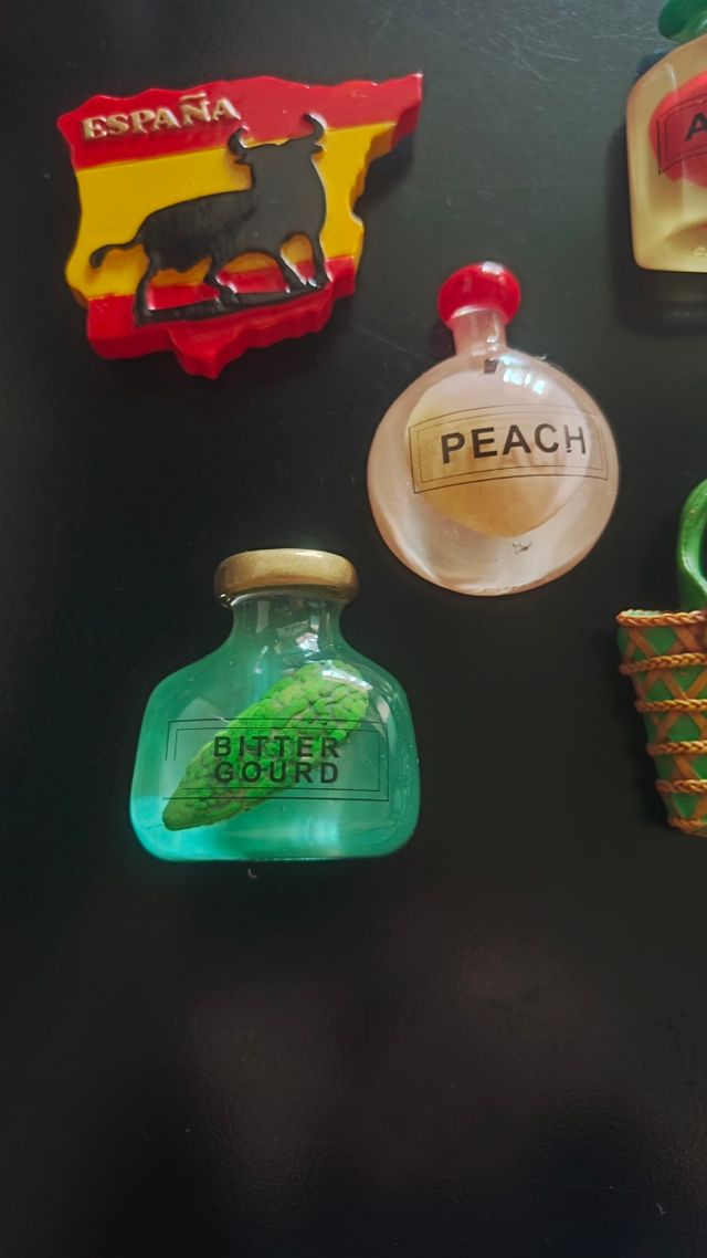 Calamite per frigorifero vari soggetti