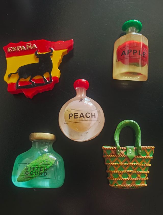 Calamite per frigorifero vari soggetti