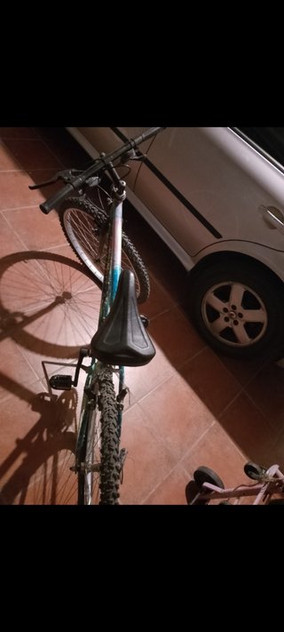 Bicicleta de montaña