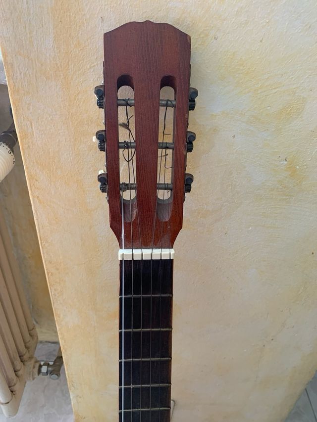 Chitarra ferrarotti