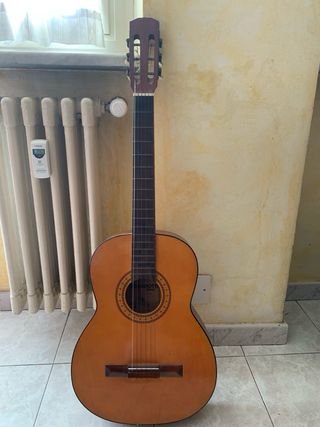 Chitarra ferrarotti