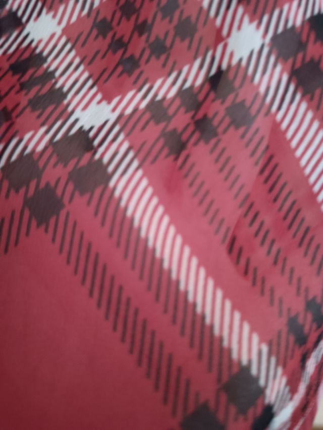 Blusa roja de cuadros