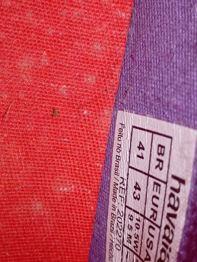 Scarpe donna Havaianas