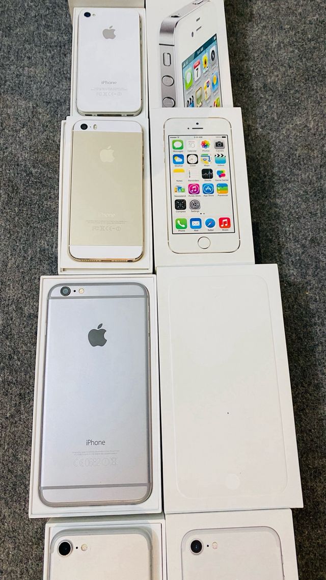 COLLEZIONE APPLE VINTAGE