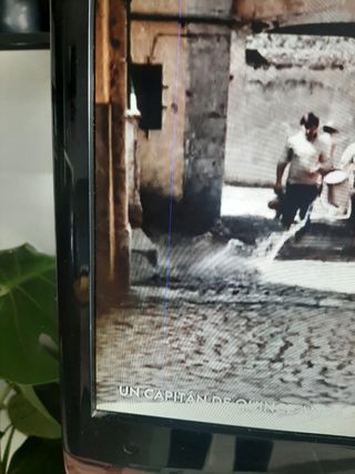 Monitor LG de 22 pulgadas