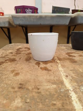 Macetero redondo para bonsai azul.