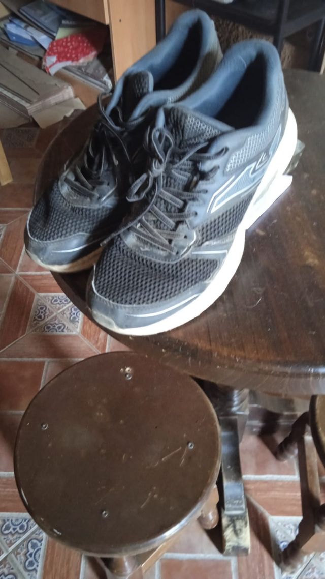 Zapatillas 