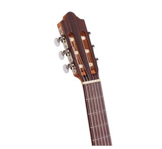 Guitarra camps nac-1 eco caja estrecha