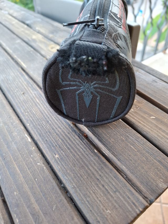 Astuccio SPIDER-MAN