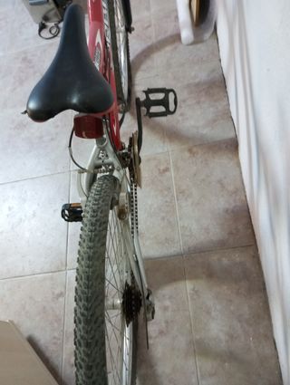 Bicicleta