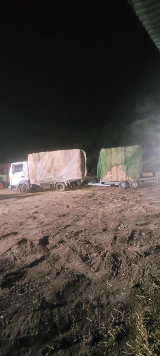 Venta de forraje.