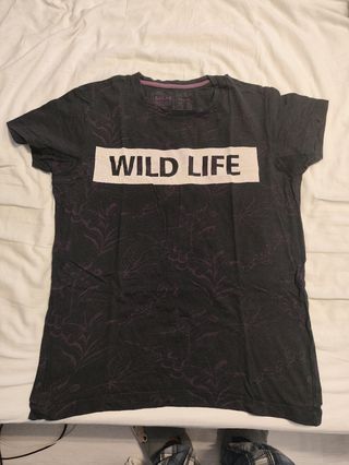 Multiprendas. Camisetas Primark sin usar