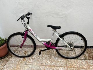 BICICLETAS AZUL Y ROSA