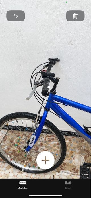 BICICLETA AZUL 