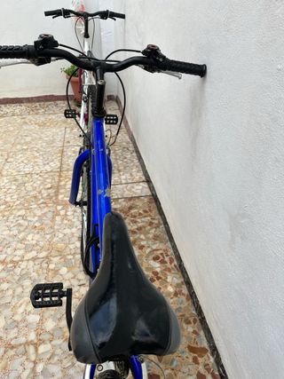 BICICLETA AZUL 