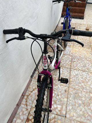 BICICLETA ROSA