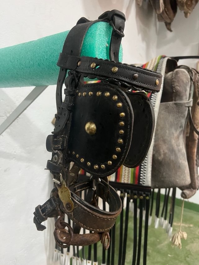 Cabezada Enganche Pony