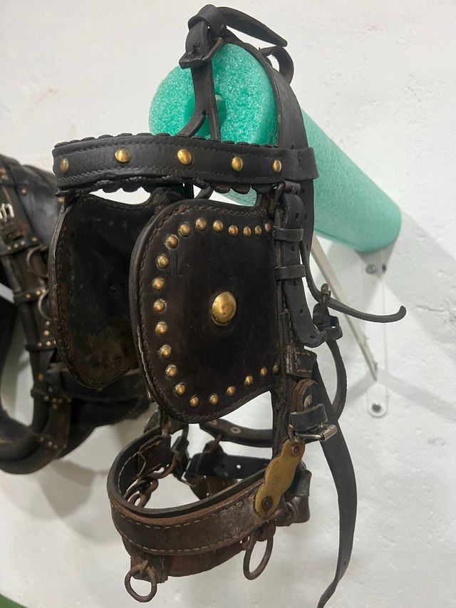 Cabezada Enganche Pony