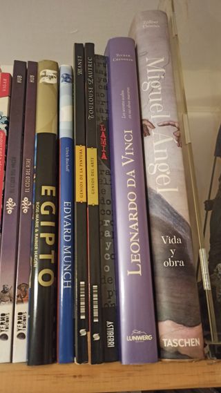 DESCATALOGADO. Miguel Ángel. Vida y obra COMPLETA