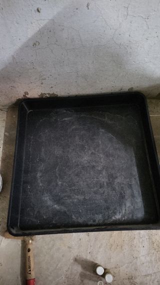 Bandeja de cultivo 
