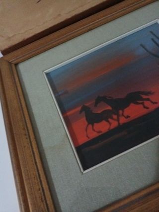 Set quadretti con figure di cavalli