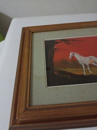 Set quadretti con figure di cavalli