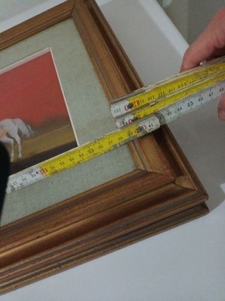 Set quadretti con figure di cavalli