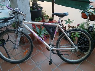 Bici montaña