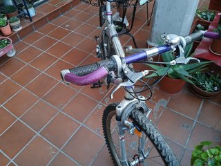 Bici montaña