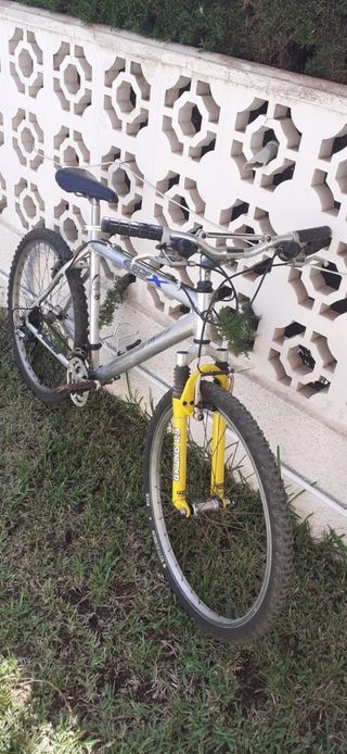 Bicicleta BH Topline Over X