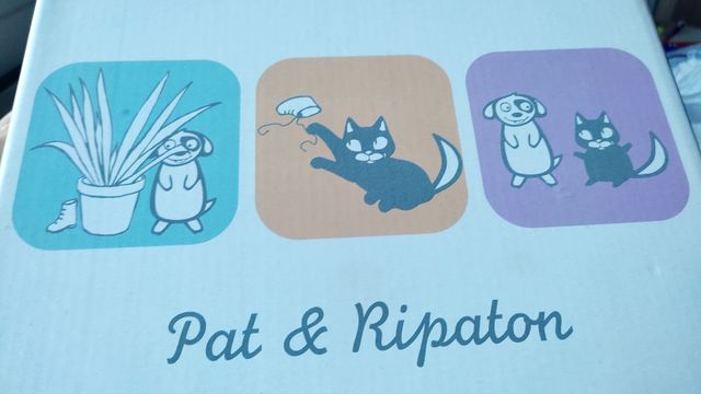 Botas niño N° 21 - estilo Panamá