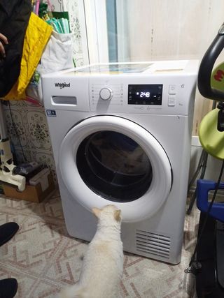 Secadora Whirlpool